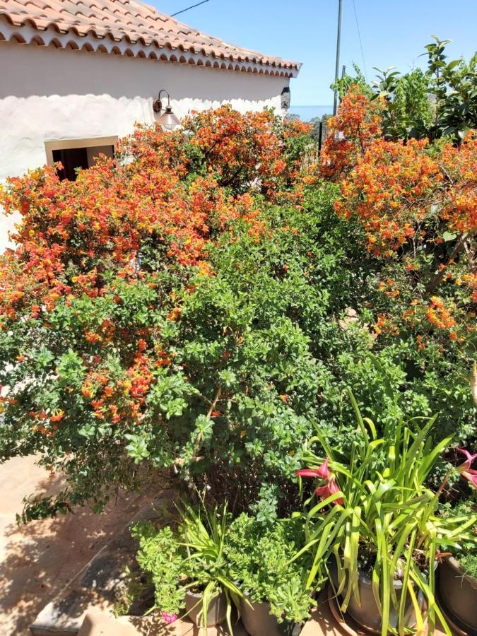 Casa El Peral Hébergement de vacances *